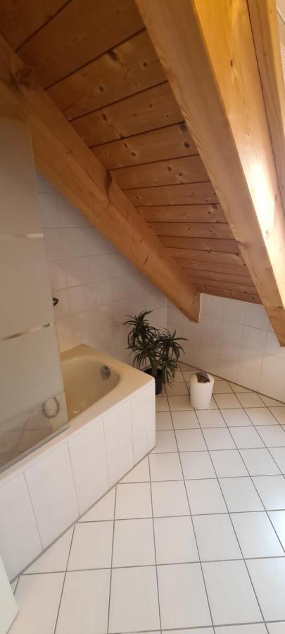 Apartment Am Ammersee هيرشينج ام امرسي المظهر الخارجي الصورة
